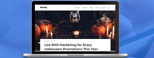 web project case study